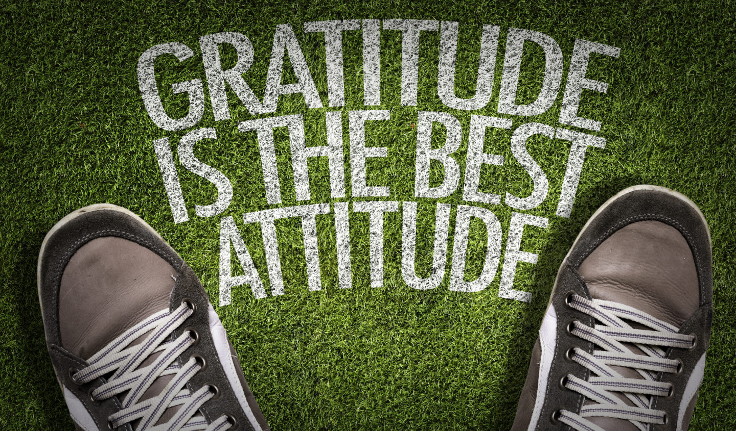 Gratitude is the best Attitude